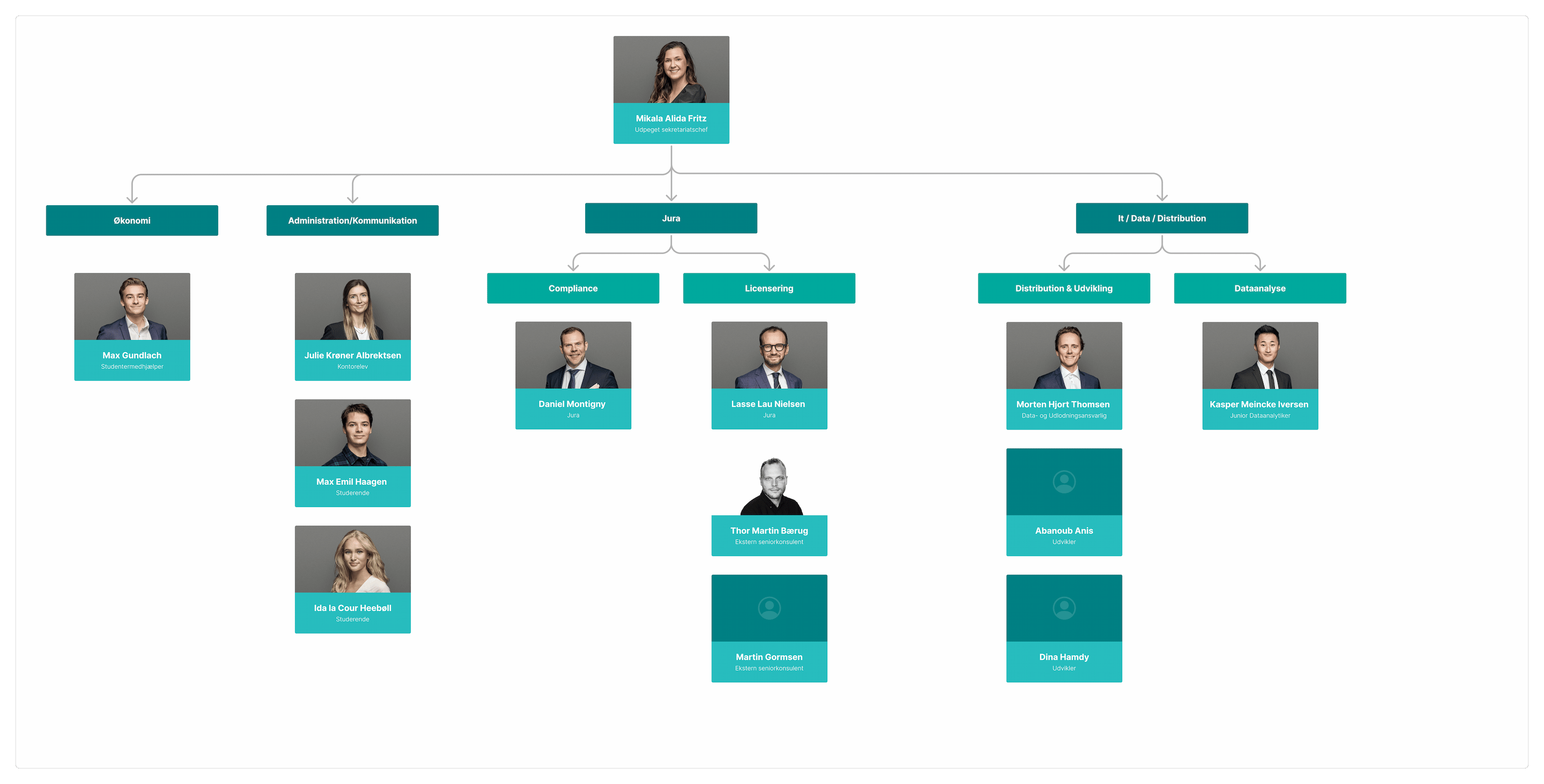 Organisationsdiagram